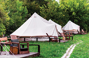 Tents, Tarpaulins and Pe Covers